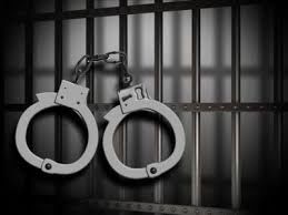 Newton County Police Blotter